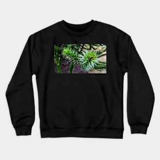 Monkey Puzzle Tree Crewneck Sweatshirt